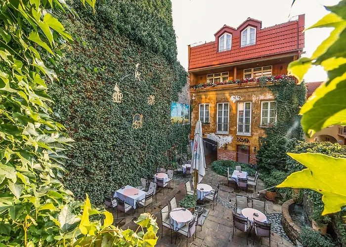 Отель Boutique Carpe Diem